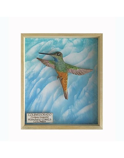 Colibrí Dorado