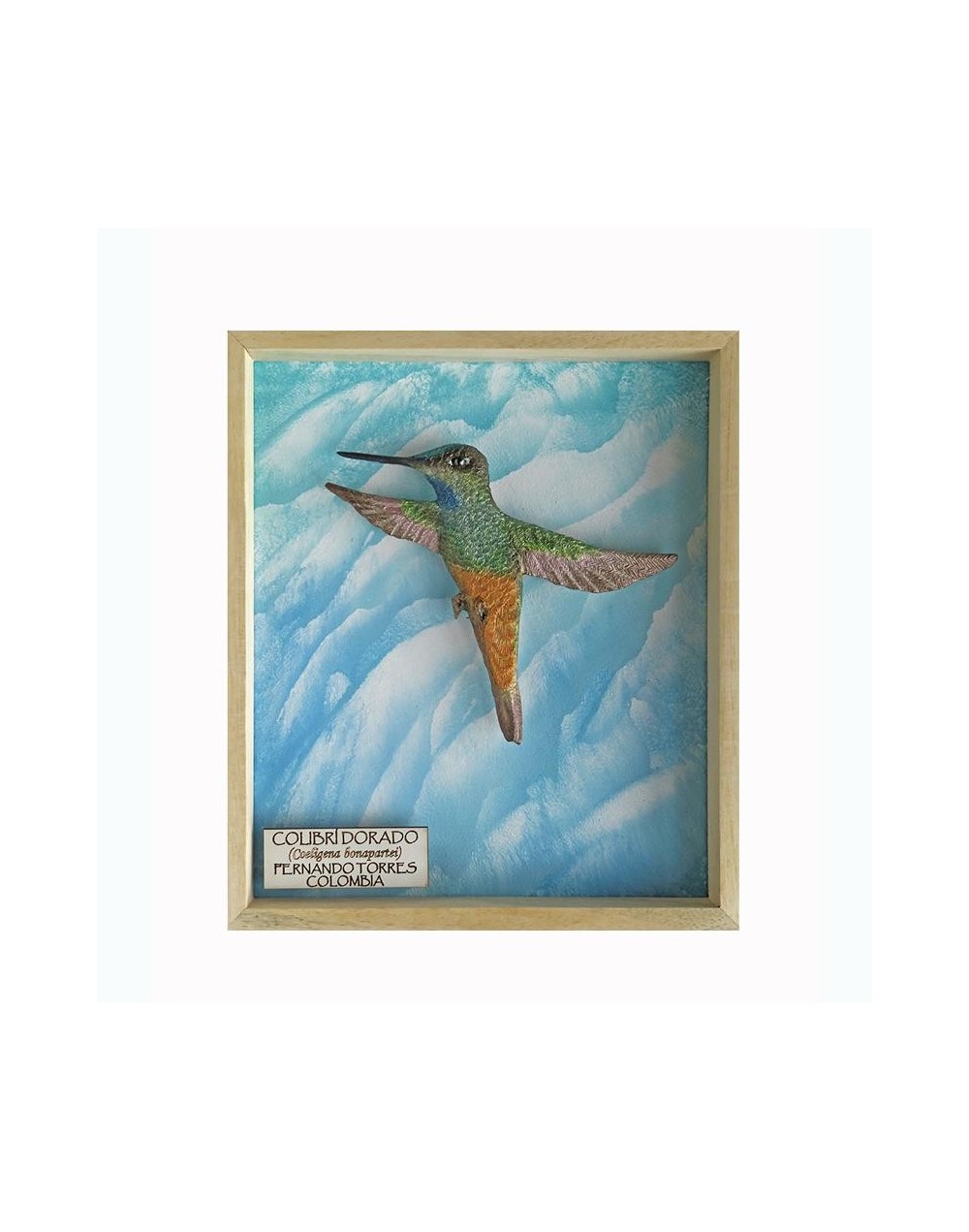 Colibrí Dorado