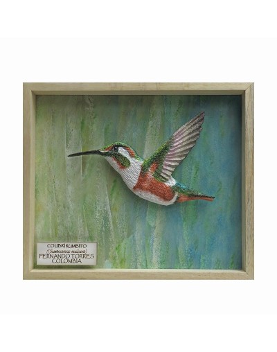 Colibrí Rumbito