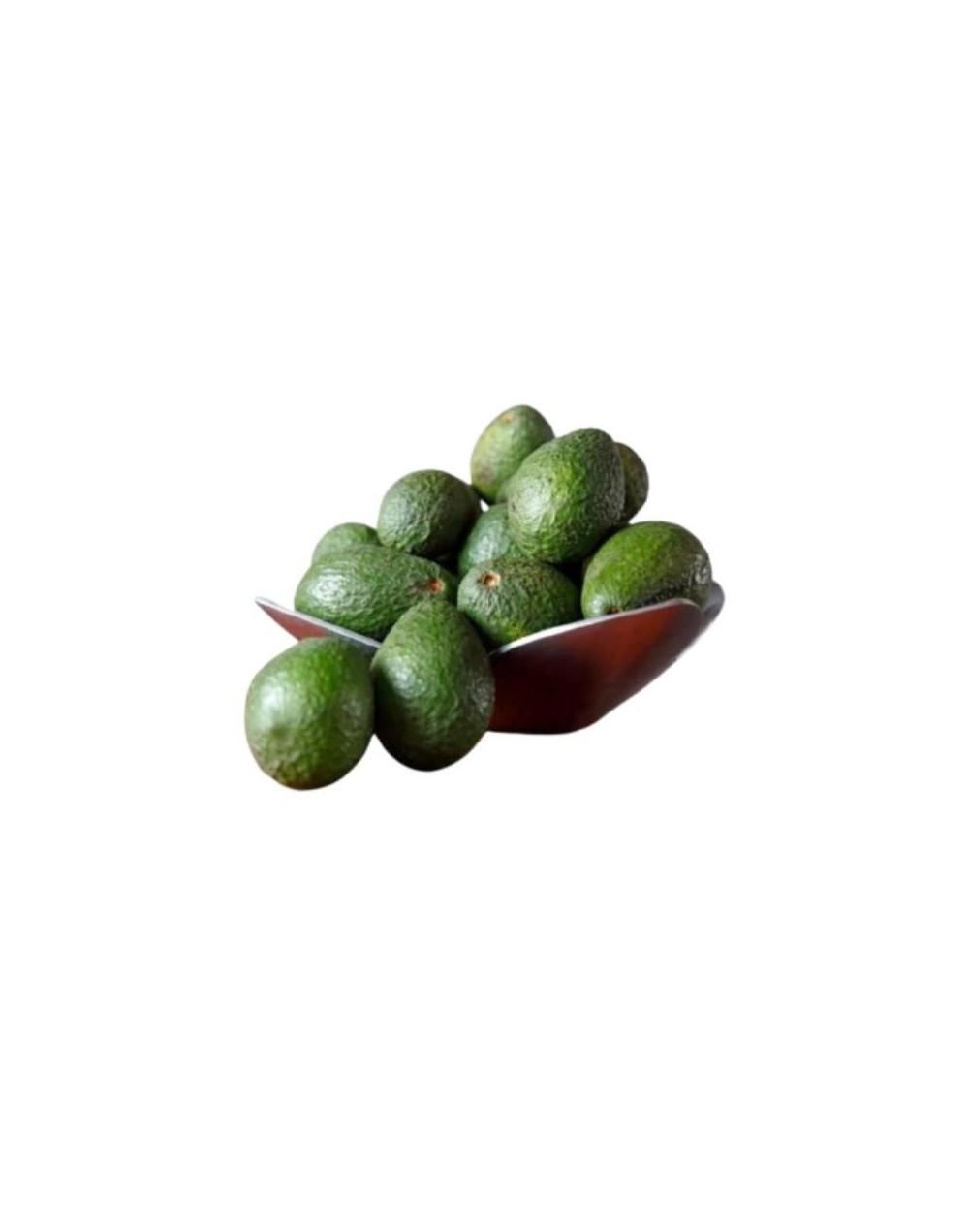 Aguacate hass