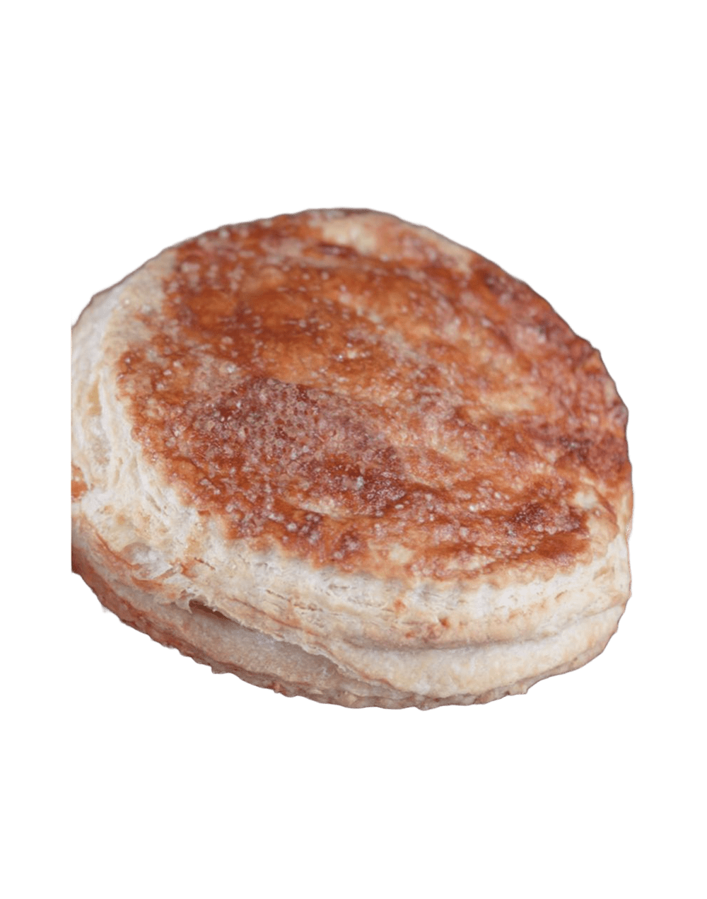 Pastel Gloria