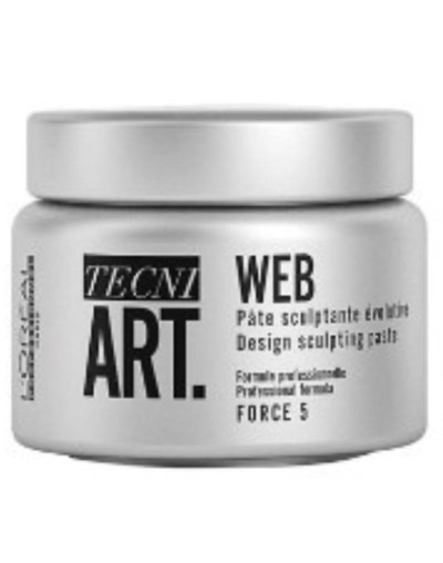 LOREAL TECNI ART WEB FORCE 5 150ML