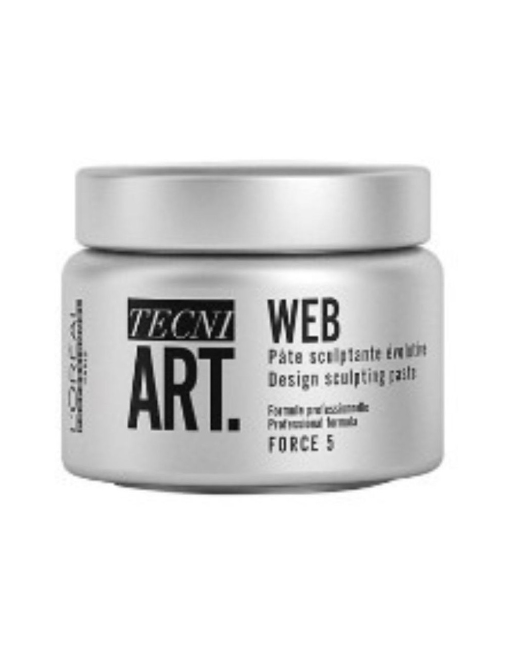 LOREAL TECNI ART WEB FORCE 5 150ML