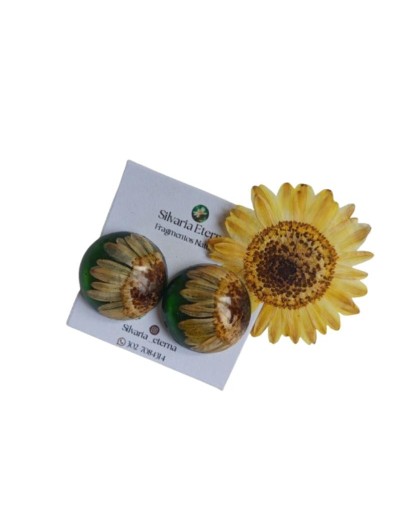 maxi fragmentos mini girasol