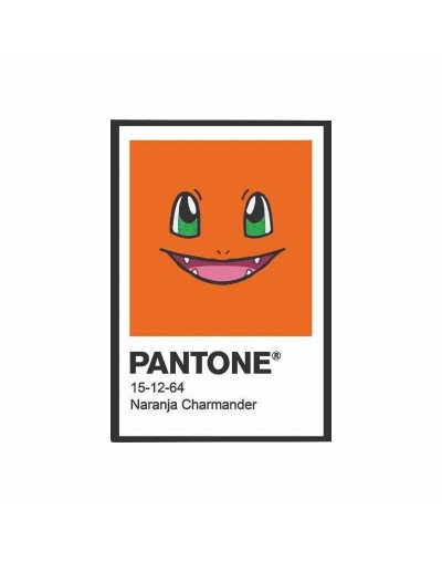 Cuadro Pantone Pokemon Charmander