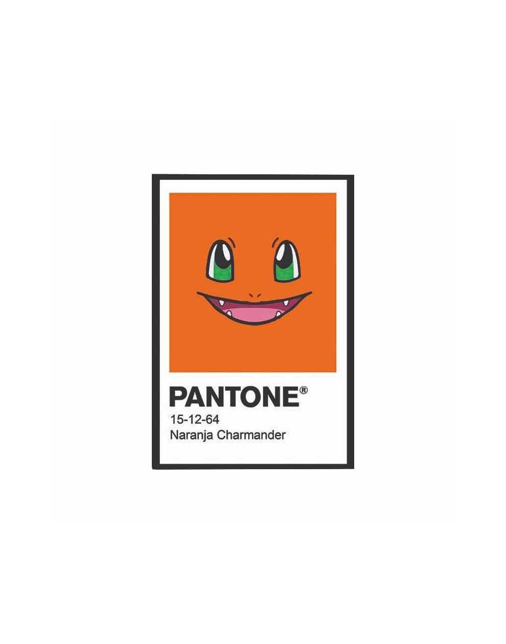 Cuadro Pantone Pokemon Charmander