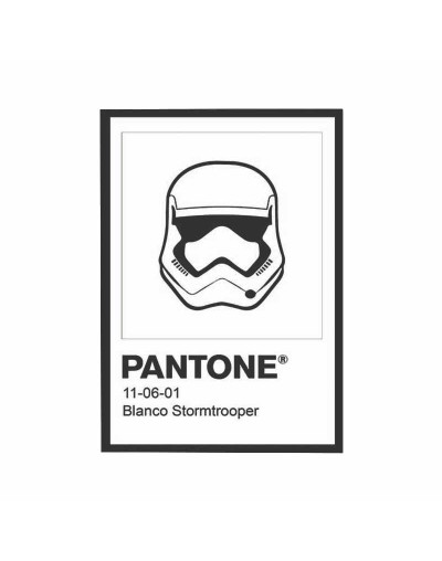 Cuadro Pantone Starwars-Stormtrooper