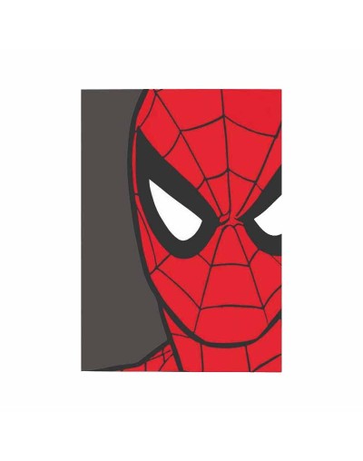 Cuadro Spiderman con Ojos en Acrílico