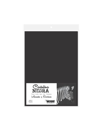 Cartulina Negra de 180gramos tamaño 1/8 x 50 Hojas