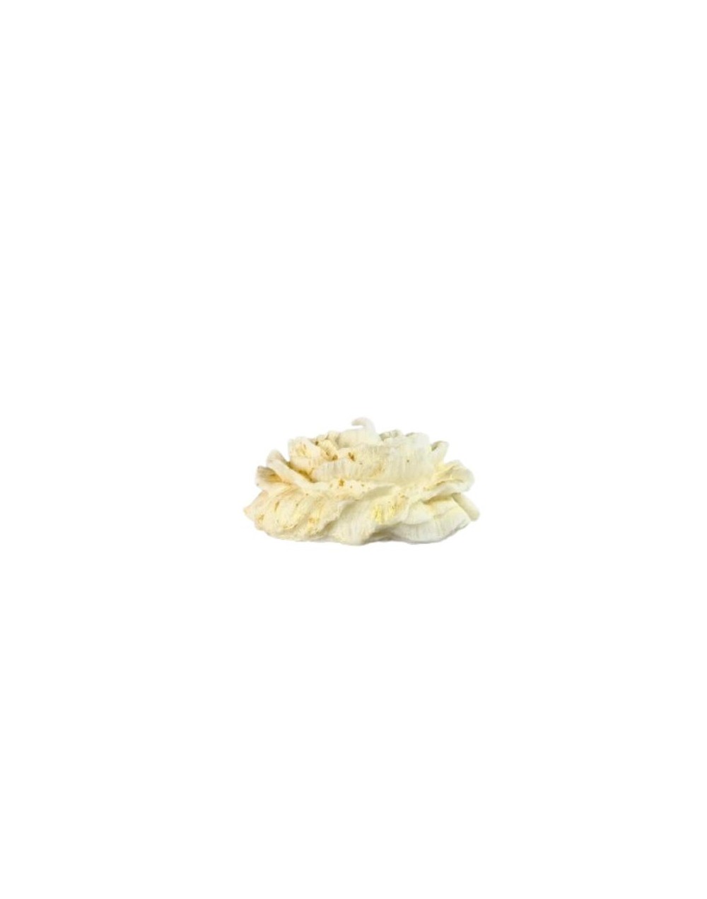 Vela Japonesa Bicolor | Decoración artesanal y elegante – Eclipsa