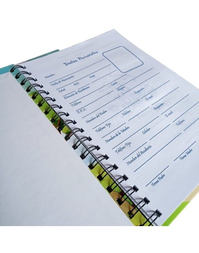Agendas Personalizadas