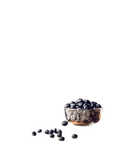 ARANDANOS