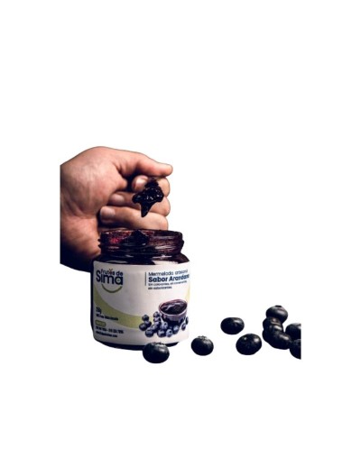 MERMELADA DE ARANDANO ARTESANAL
