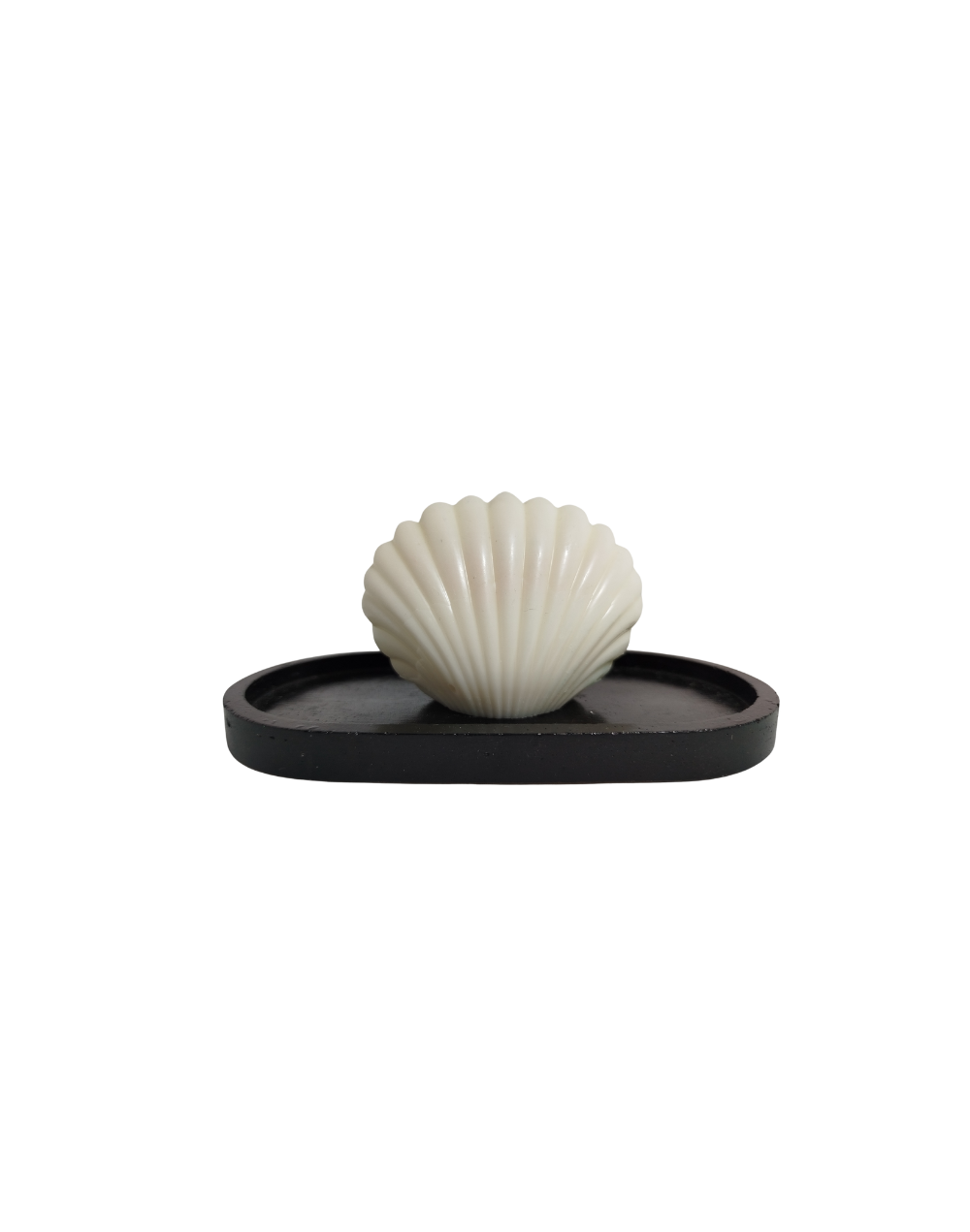 Vela de concha
