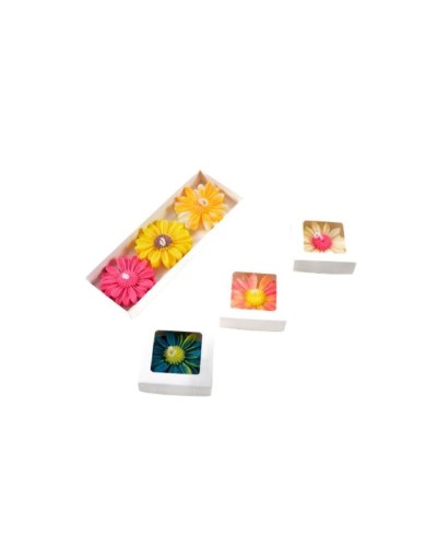 Vela Flotante