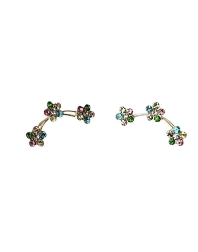 Danmei Aretes Flores 