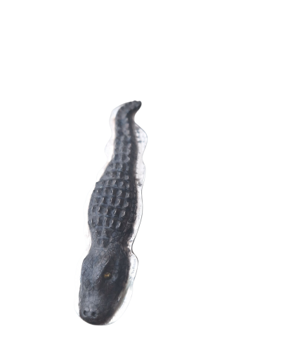 Broche cocodrilo