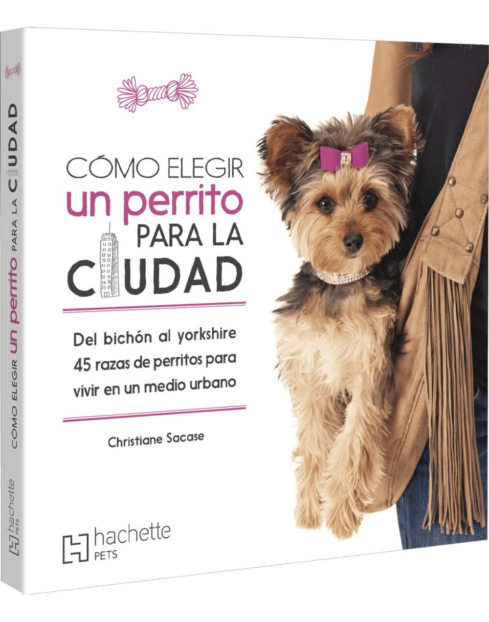 Como Elegir Un Perrito Para La Ciudad