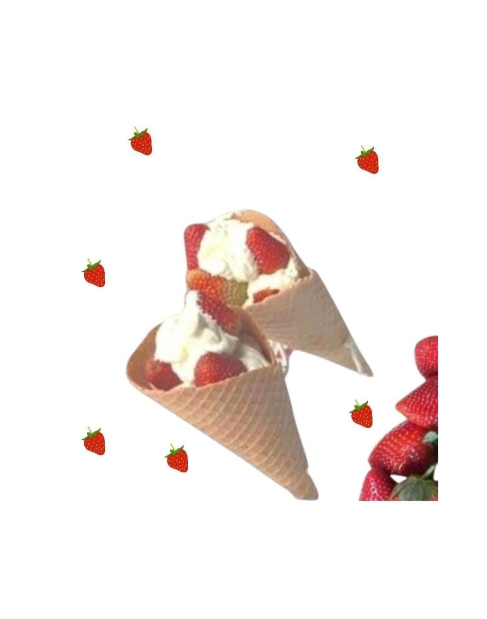 Fresa en cono