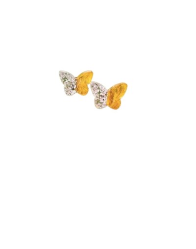 mini topos de transformacion