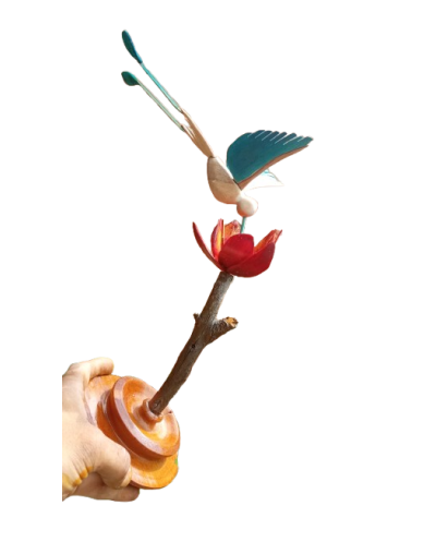 Colibri cola de raqueta
