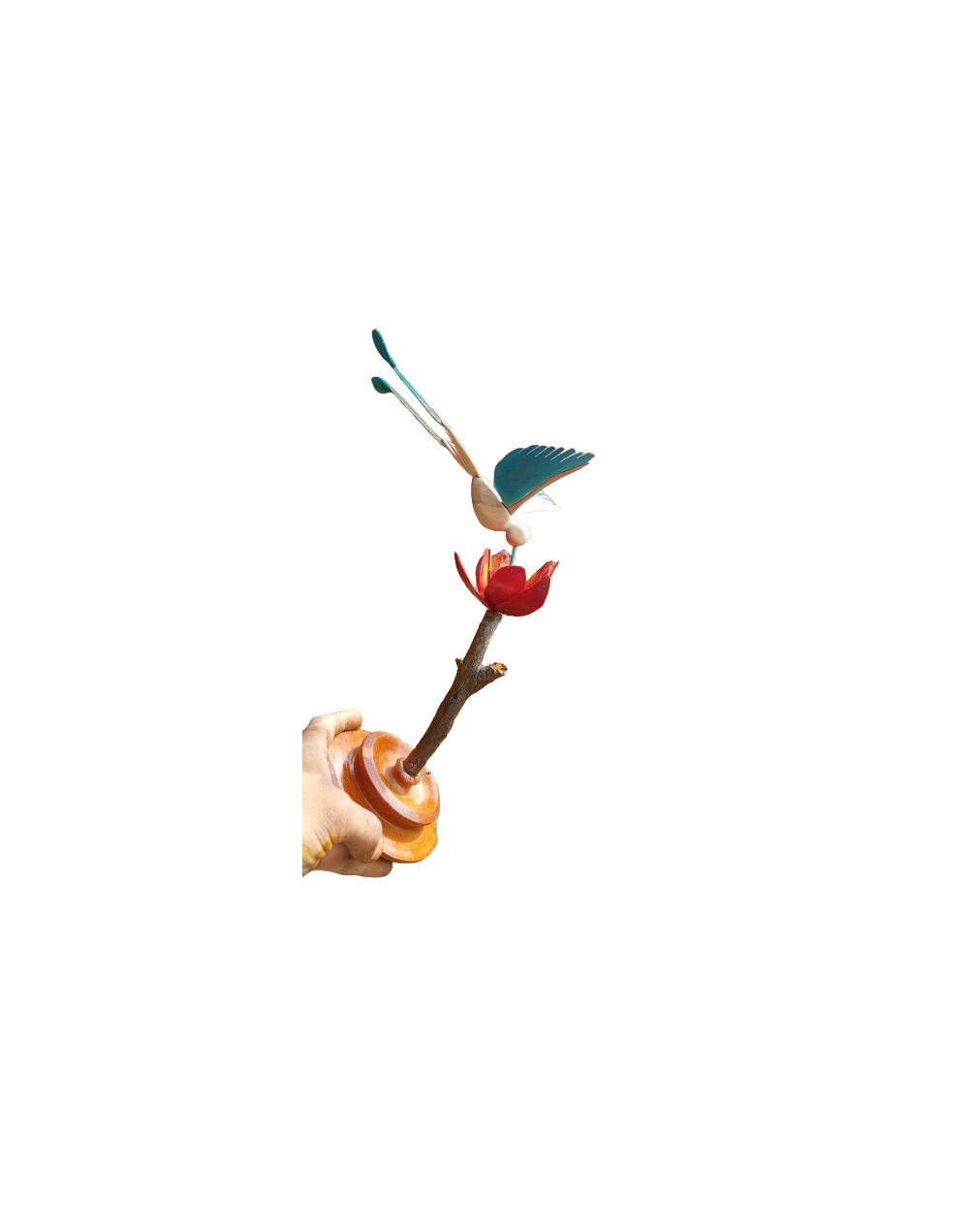 Colibri cola de raqueta