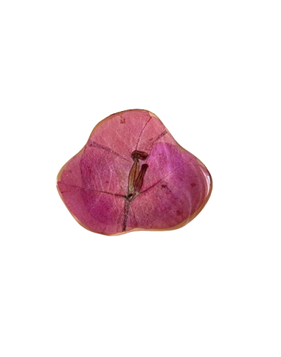 Prendedor Bugambilia 