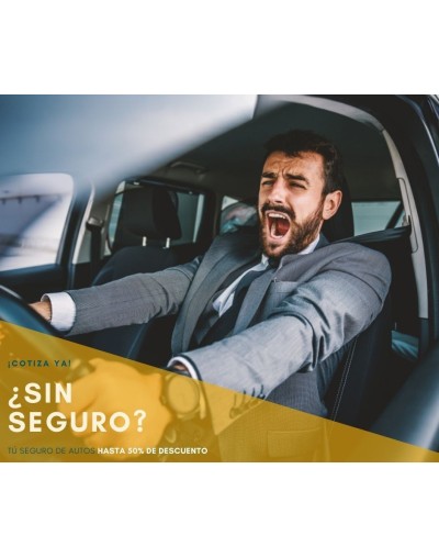 Seguro de Automóviles