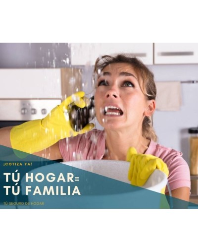 Seguro de Hogar