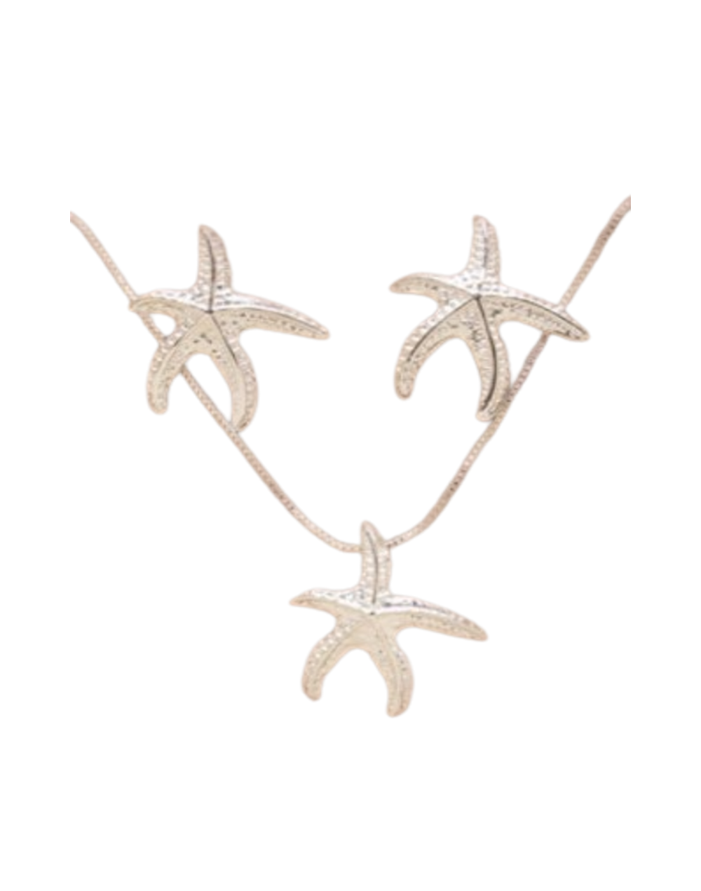 Set estrellas de Mar 