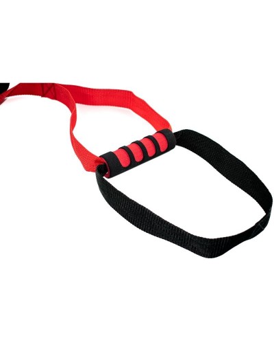 TRX ONE