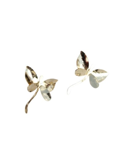 Arete Topo Libélula - Vuelo de la Naturaleza