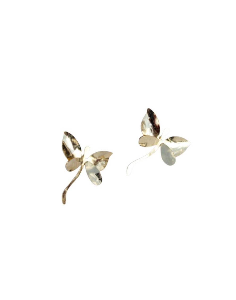 Arete Topo Libélula - Vuelo de la Naturaleza