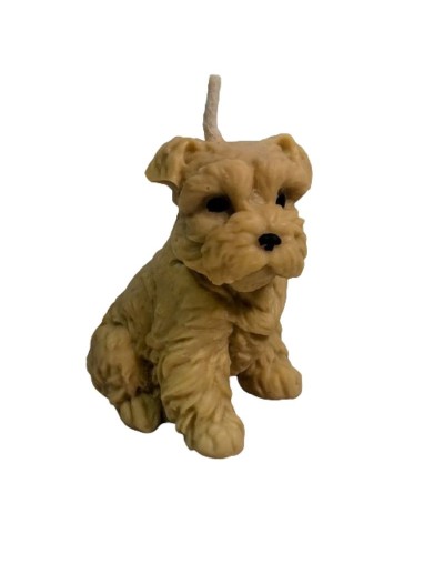 Velita Perrito Grande