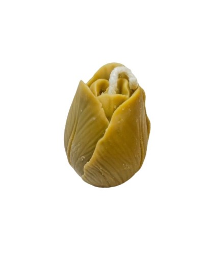 Mini Velita Tulipán