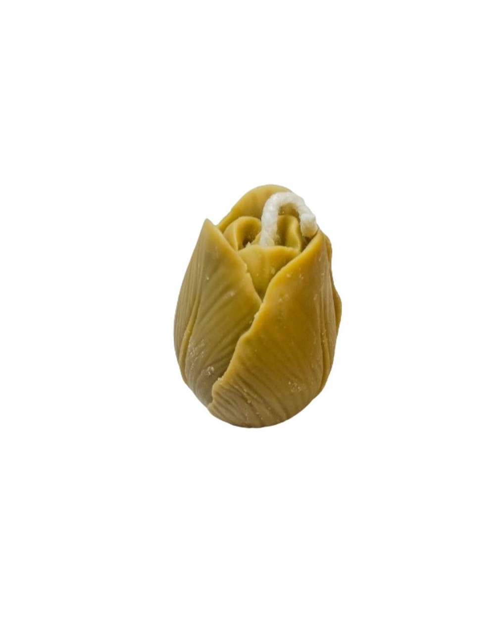 Mini Velita Tulipán