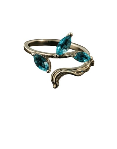 Danmei Anillo La bendicion oficial del cielo  Xie lian