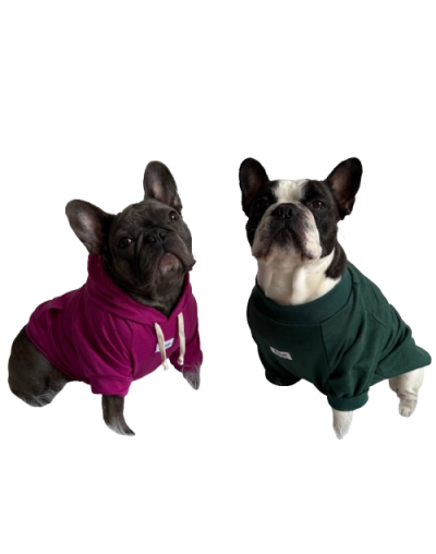 Hoodies
