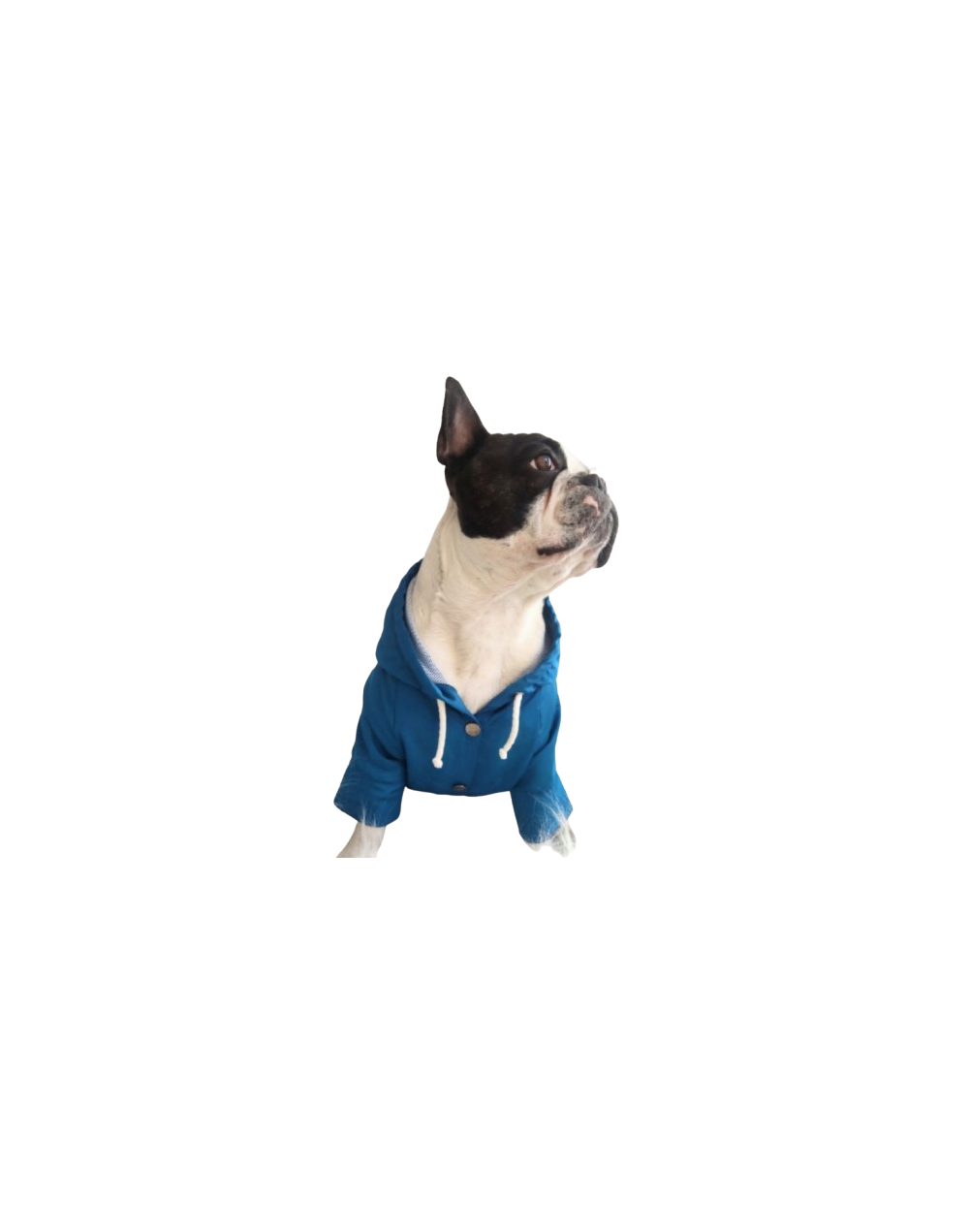 Chaqueta Impermeable