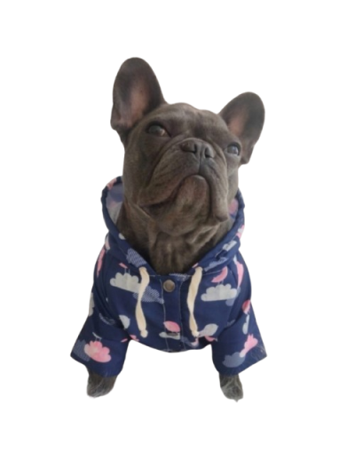 Chaqueta Impermeable