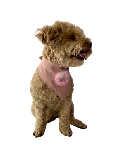 PRENDAS PARA MASCOTAS PAÑOLETA