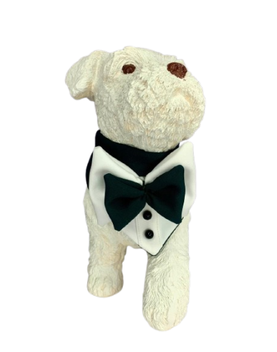 PRENDAS PARA MASCOTAS smoking