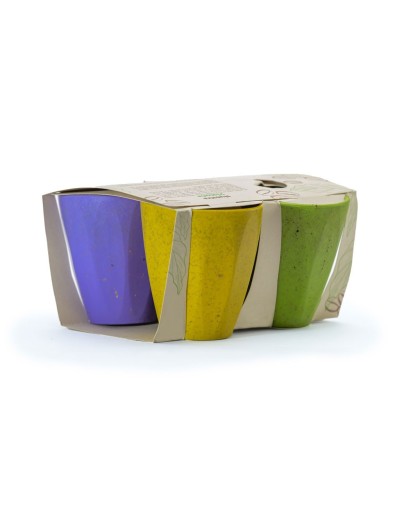 Kit X4 Eco vaso prismático
