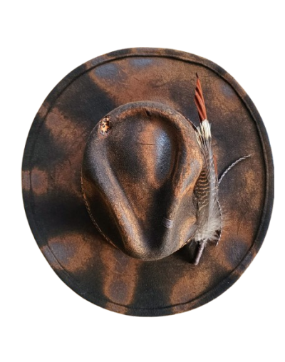 Sombrero galaxia