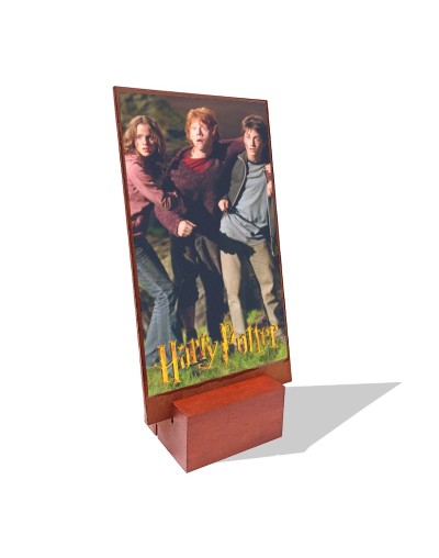Cuadro de mesa Harry Potter
