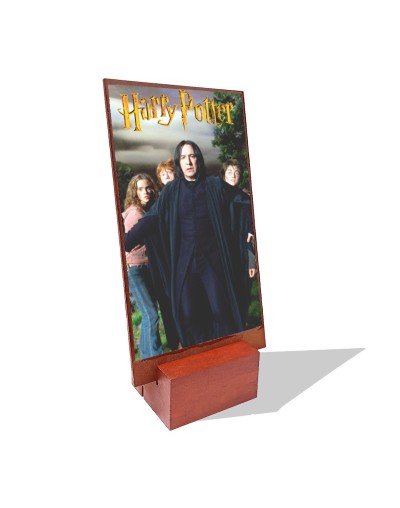 Cuadro de mesa Harry Potter