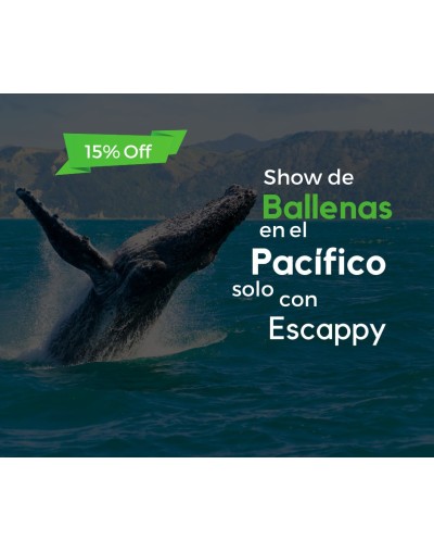 Viaje al Pacífico para dos personas