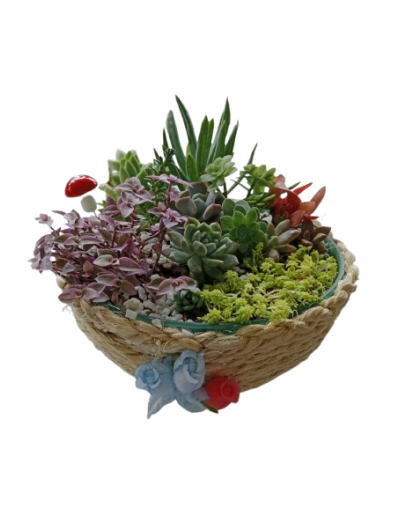 Jardin forrado en yute
