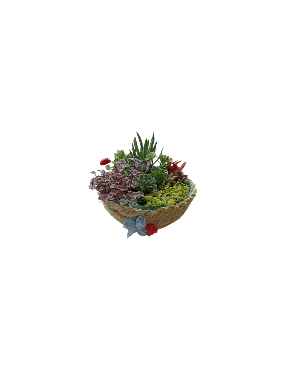 Jardin forrado en yute