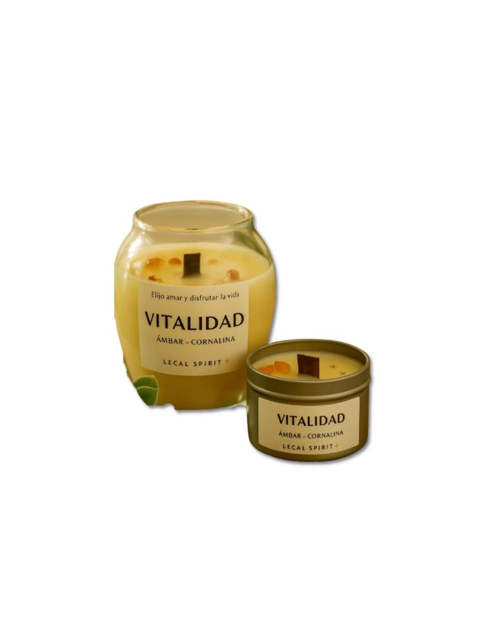 VITALIDAD